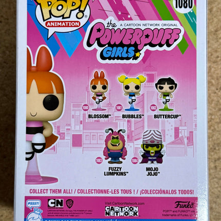 Funko Pop! Animation Blossom #1080 Powerpuff Girls 2021 Cartoon Network Leader
