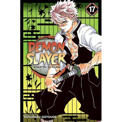 Demon Slayer: Kimetsu No Yaiba, Vol. 17: Successors