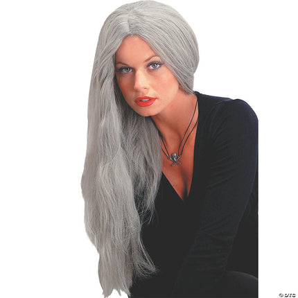 Wig 24 inch straight grey