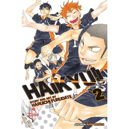 Haikyu!!, Vol. 2: The View from the Top