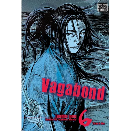 Vagabond (Vizbig Edition), Vol. 6: Battlefield