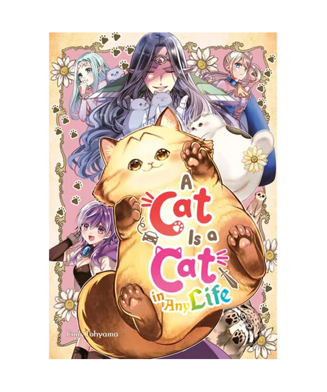 A Cat Is a Cat in Any Life