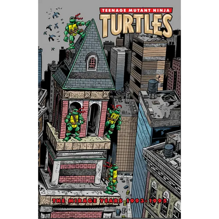 Teenage Mutant Ninja Turtles: The Mirage Years (1993-1995)